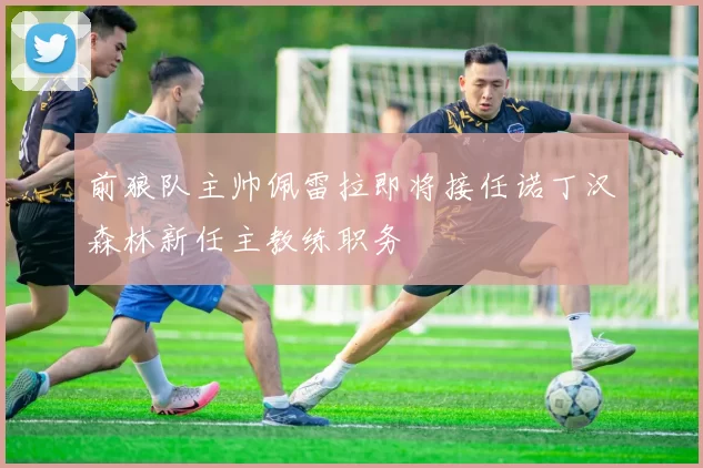 前狼队主帅佩雷拉即将接任诺丁汉森林新任主教练职务